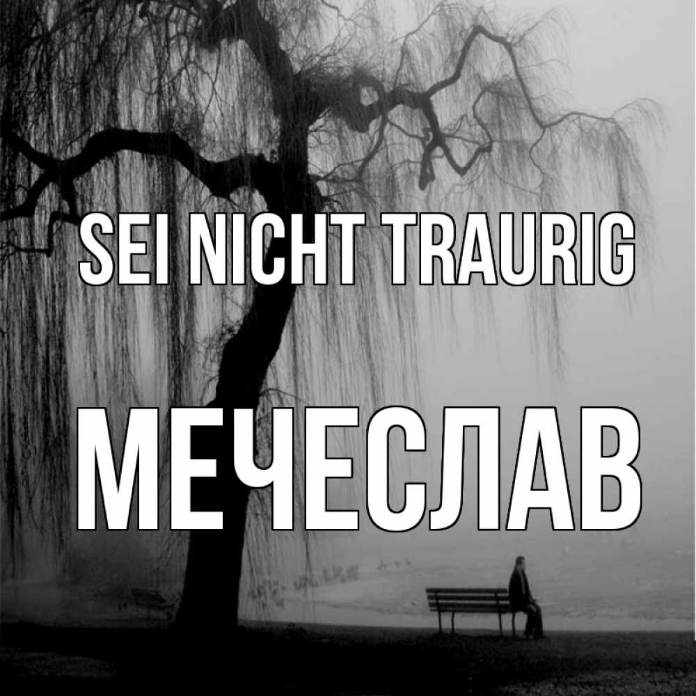 Открытка на каждый день с именем, Мечеслав Sei nicht traurig висящие ветки дерева и лавочка под деревом Прикольная открытка с пожеланием онлайн скачать бесплатно 