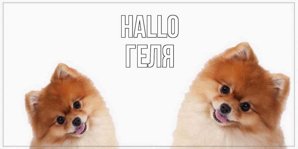 Открытка на каждый день с именем, Геля Hallo привет Прикольная открытка с пожеланием онлайн скачать бесплатно 