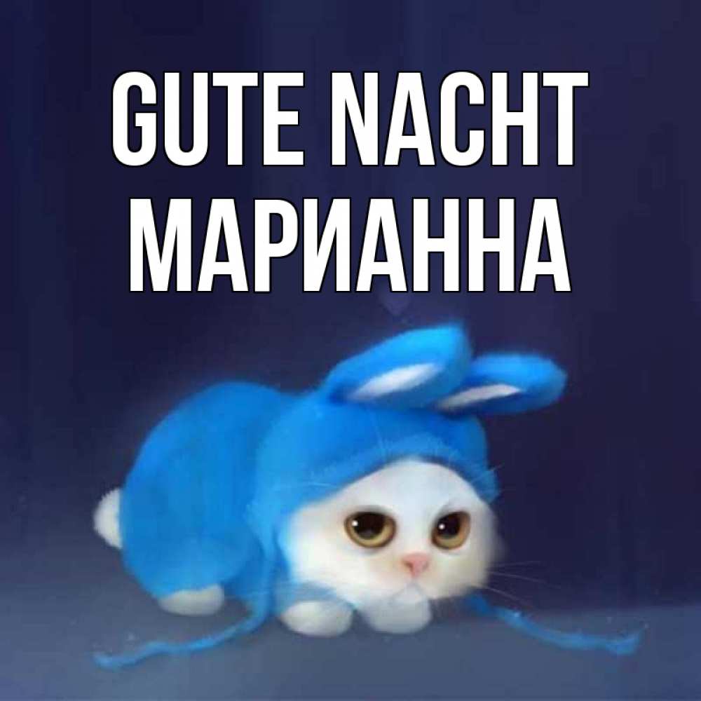 Открытка на каждый день с именем, Марианна Gute Nacht кот в голубом костюме кролика с ушками Прикольная открытка с пожеланием онлайн скачать бесплатно 