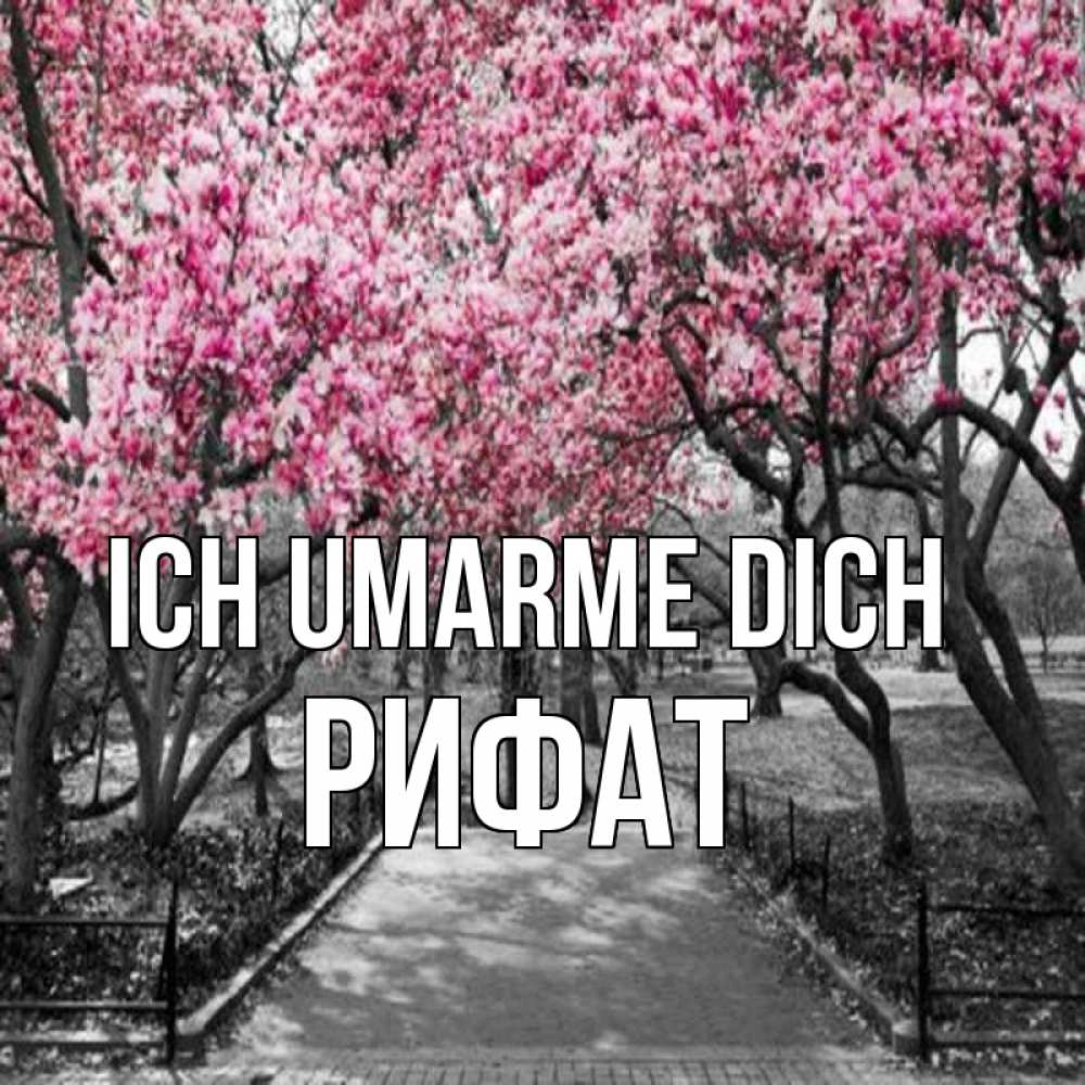 Открытка на каждый день с именем, Рифат Ich umarme dich обработанное фото Прикольная открытка с пожеланием онлайн скачать бесплатно 