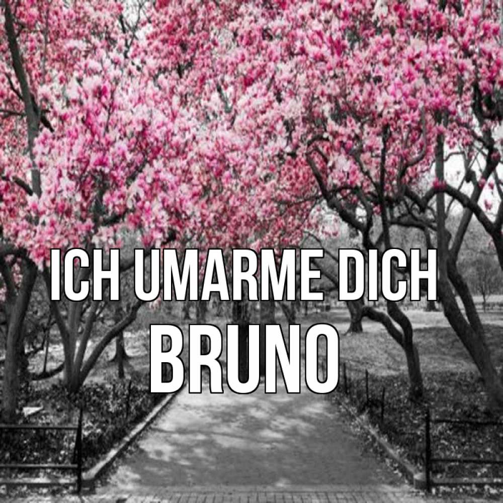 Открытка на каждый день с именем, Bruno Ich umarme dich обработанное фото Прикольная открытка с пожеланием онлайн скачать бесплатно 