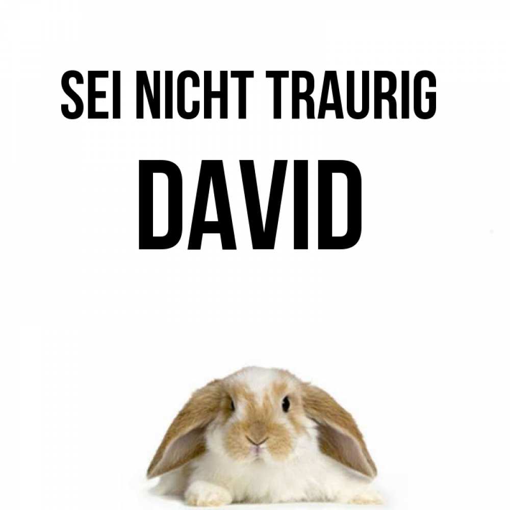 Открытка на каждый день с именем, David Sei nicht traurig коричнево белый заяц с большими ушками Прикольная открытка с пожеланием онлайн скачать бесплатно 