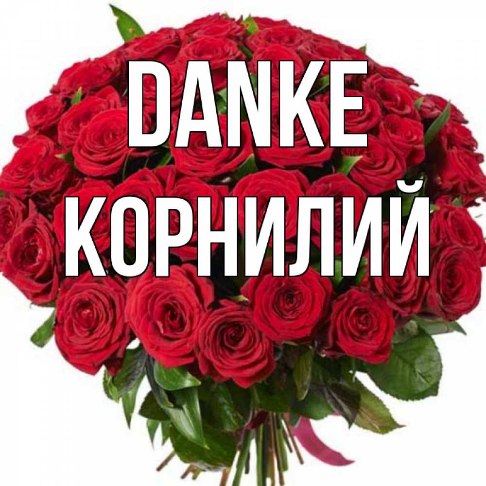 Открытка на каждый день с именем, Корнилий Danke букет красных роз Прикольная открытка с пожеланием онлайн скачать бесплатно 