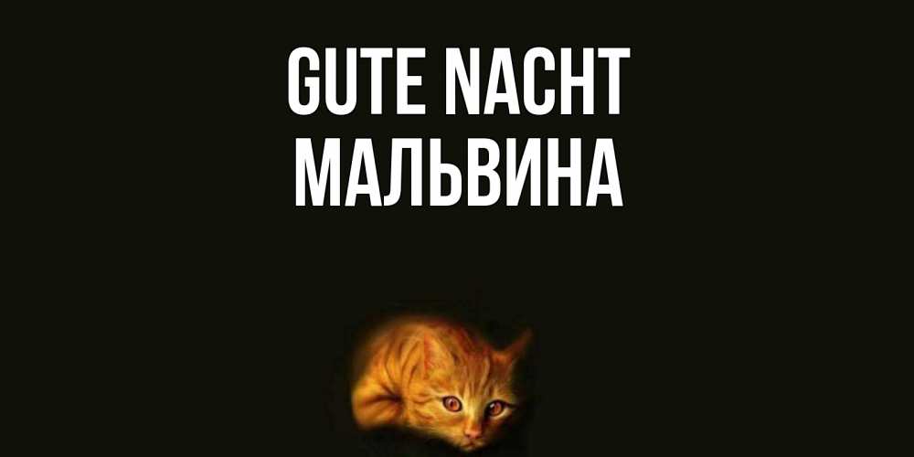 Открытка на каждый день с именем, Мальвина Gute Nacht кот Прикольная открытка с пожеланием онлайн скачать бесплатно 