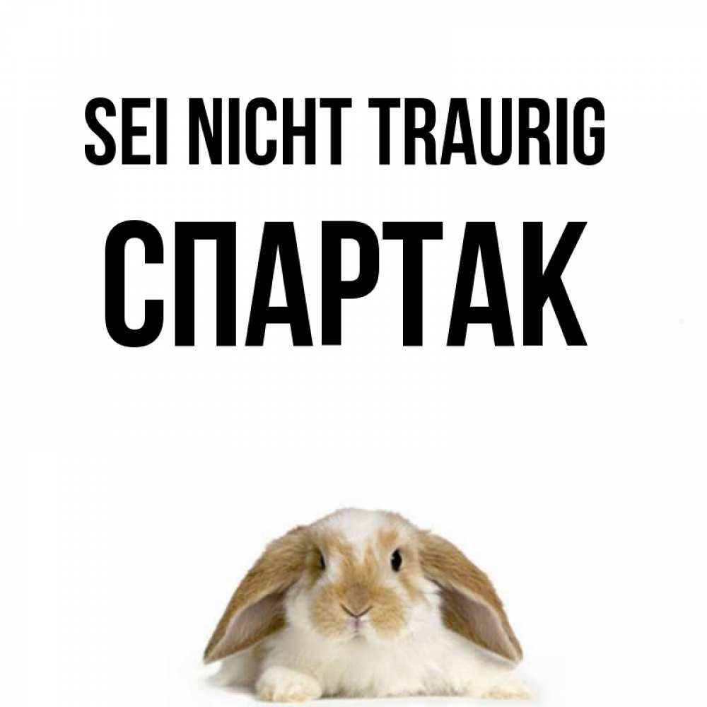 Открытка на каждый день с именем, Спартак Sei nicht traurig коричнево белый заяц с большими ушками Прикольная открытка с пожеланием онлайн скачать бесплатно 