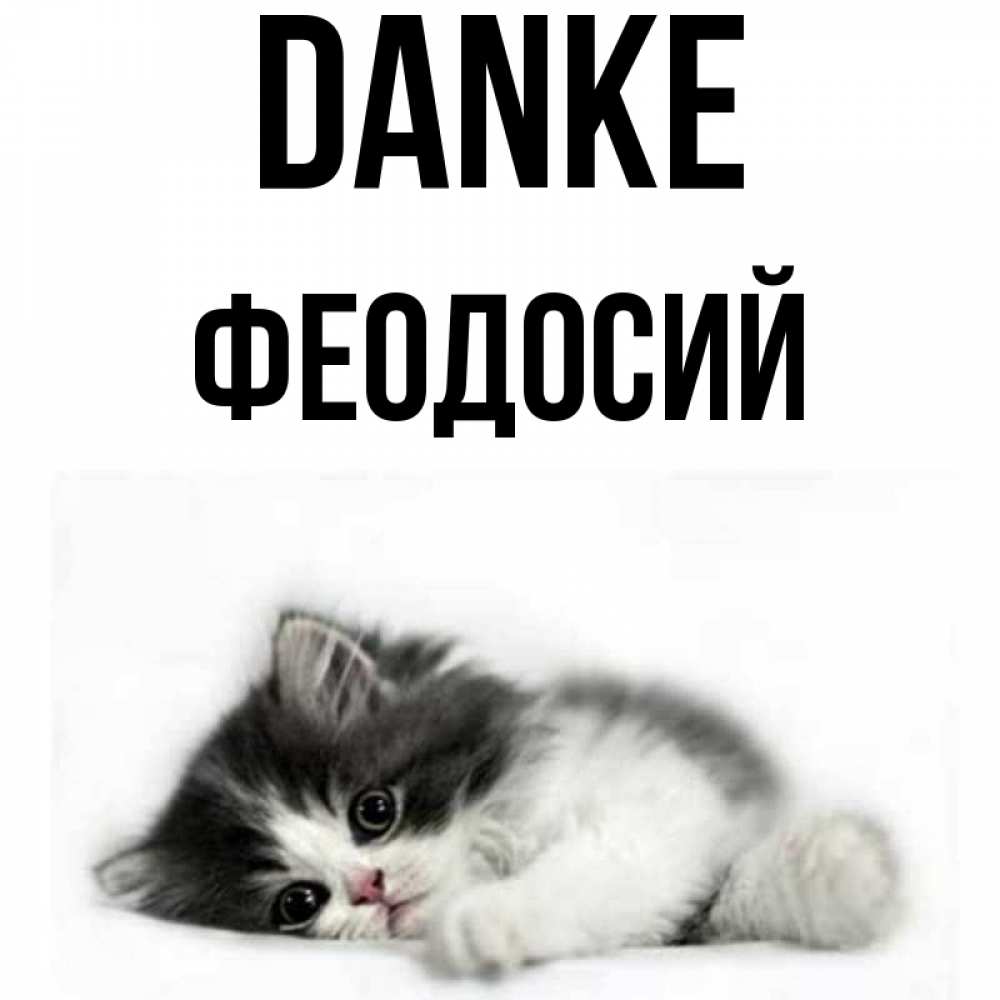 Открытка на каждый день с именем, Феодосий Danke черный и белый кот Прикольная открытка с пожеланием онлайн скачать бесплатно 
