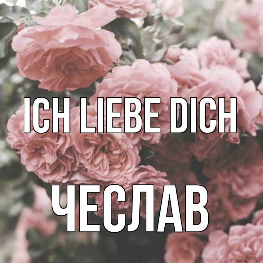 Открытка на каждый день с именем, Чеслав Ich liebe dich розы 3 Прикольная открытка с пожеланием онлайн скачать бесплатно 