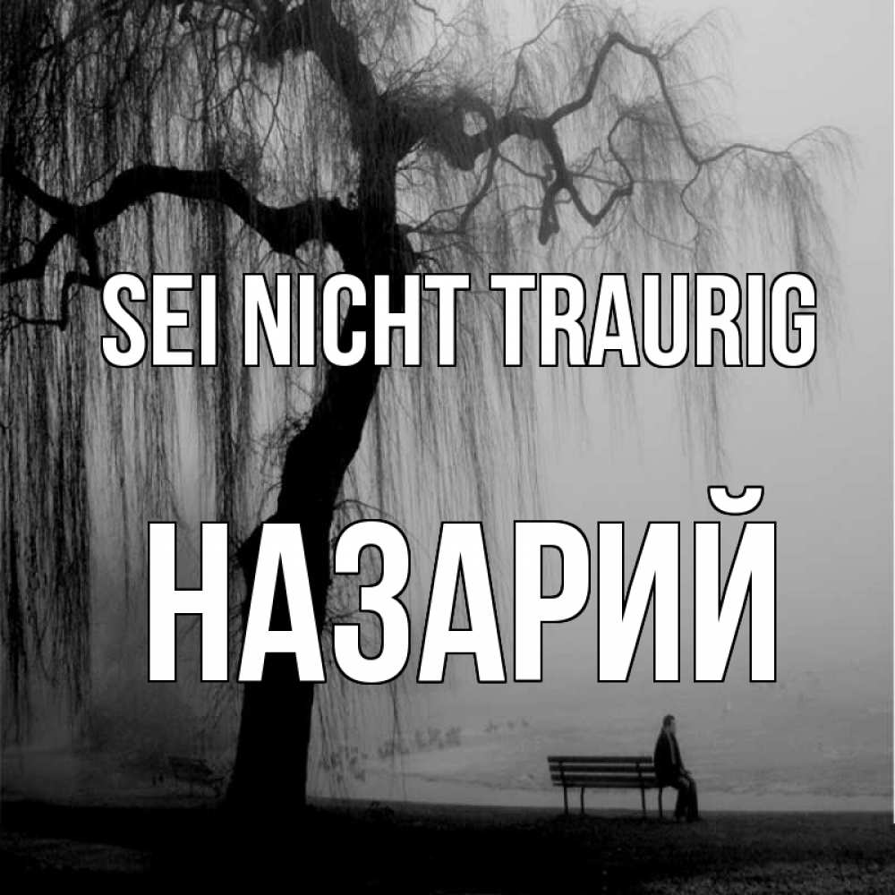 Открытка на каждый день с именем, Назарий Sei nicht traurig висящие ветки дерева и лавочка под деревом Прикольная открытка с пожеланием онлайн скачать бесплатно 