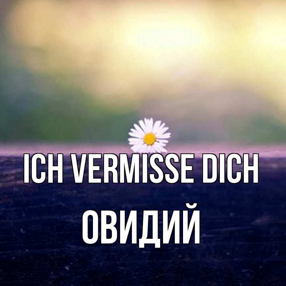 Открытка на каждый день с именем, Овидий Ich vermisse dich приходи в гости Прикольная открытка с пожеланием онлайн скачать бесплатно 