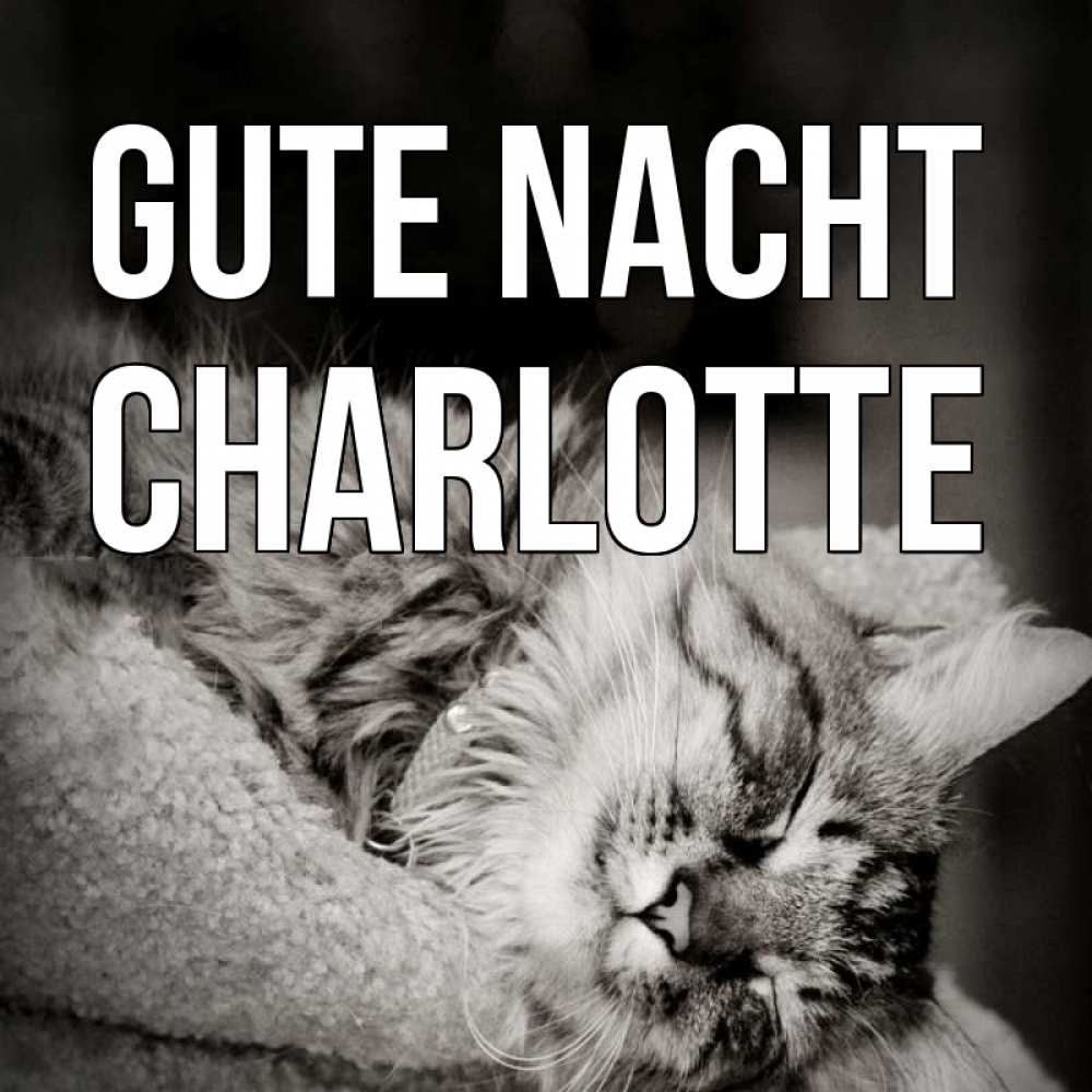 Открытка на каждый день с именем, Charlotte Gute Nacht котярик пушистый Прикольная открытка с пожеланием онлайн скачать бесплатно 