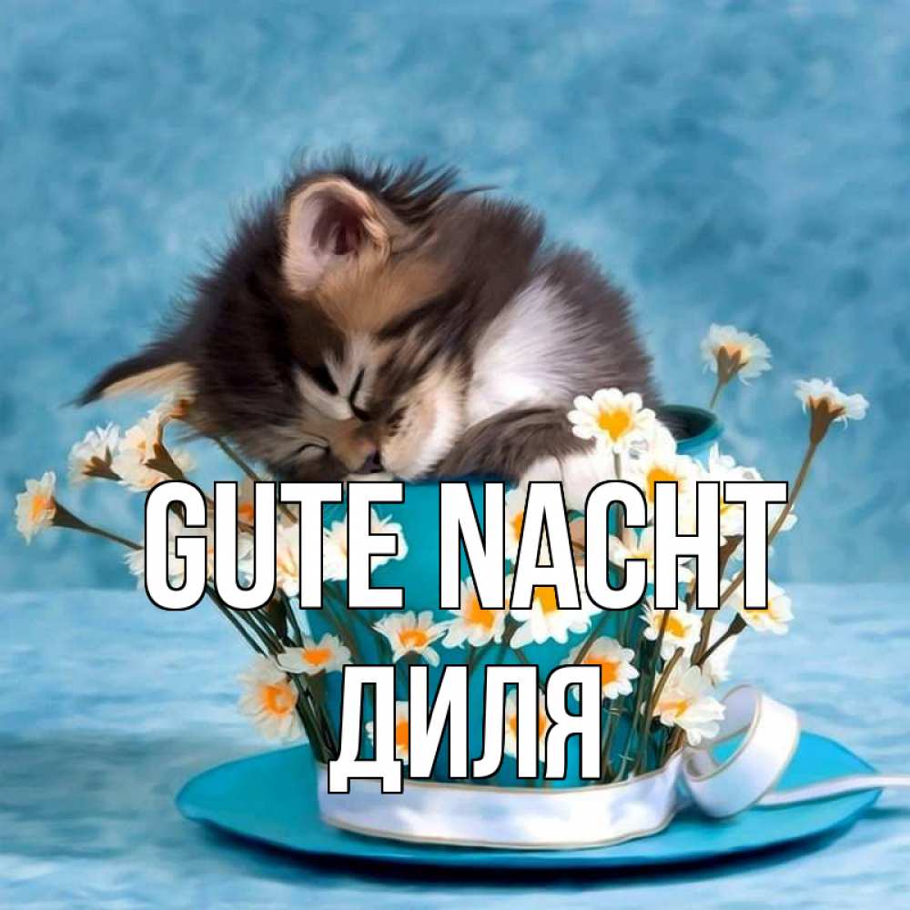 Открытка на каждый день с именем, Диля Gute Nacht котенок спит в кружке с блюдцем Прикольная открытка с пожеланием онлайн скачать бесплатно 