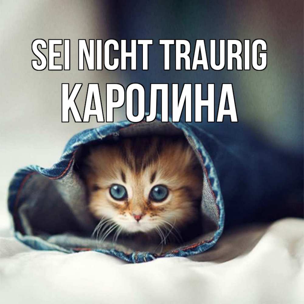 Открытка на каждый день с именем, Каролина Sei nicht traurig кот в одежде Прикольная открытка с пожеланием онлайн скачать бесплатно 