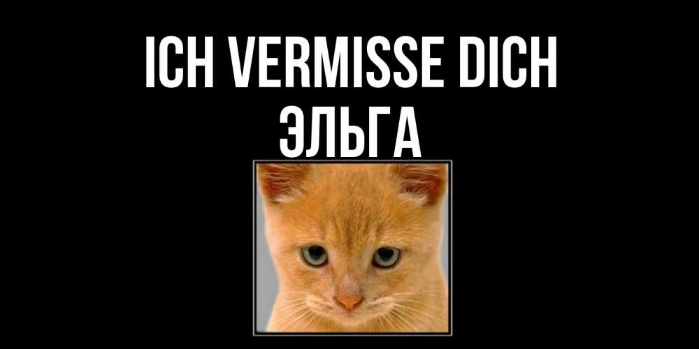 Открытка на каждый день с именем, Эльга Ich vermisse dich открытки рыжий котенок скучает по тебе Прикольная открытка с пожеланием онлайн скачать бесплатно 