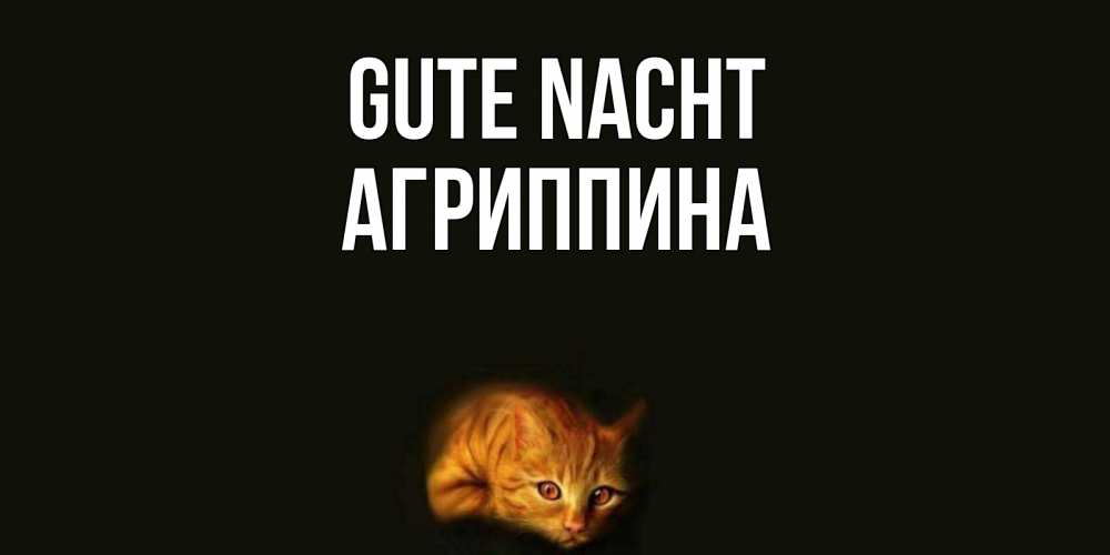 Открытка на каждый день с именем, Агриппина Gute Nacht кот Прикольная открытка с пожеланием онлайн скачать бесплатно 