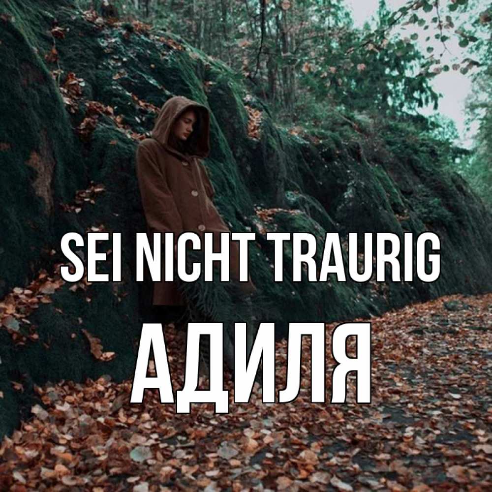 Открытка на каждый день с именем, Адиля Sei nicht traurig осенний лес Прикольная открытка с пожеланием онлайн скачать бесплатно 