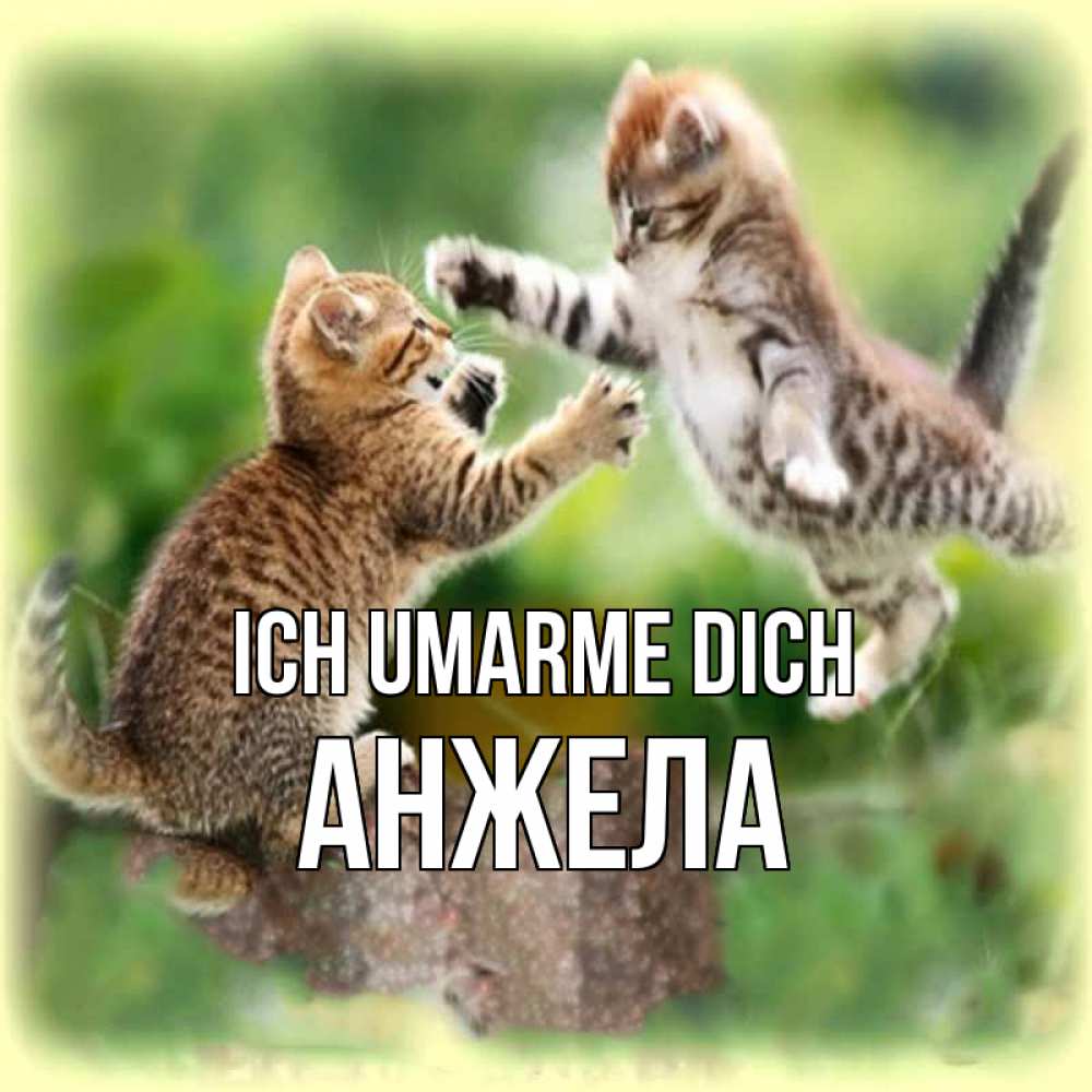 Открытка на каждый день с именем, Анжела Ich umarme dich игры котят Прикольная открытка с пожеланием онлайн скачать бесплатно 