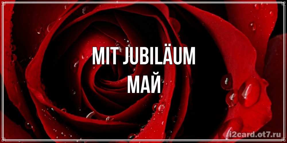 Открытка на каждый день с именем, Май Mit Jubiläum крупная бордовая роза Прикольная открытка с пожеланием онлайн скачать бесплатно 