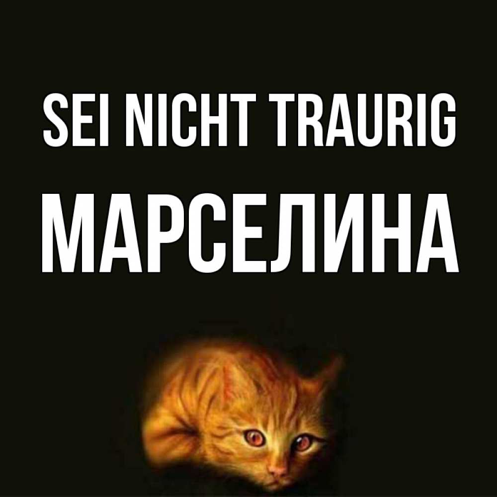 Открытка на каждый день с именем, Марселина Sei nicht traurig лежащий кот в темноте Прикольная открытка с пожеланием онлайн скачать бесплатно 