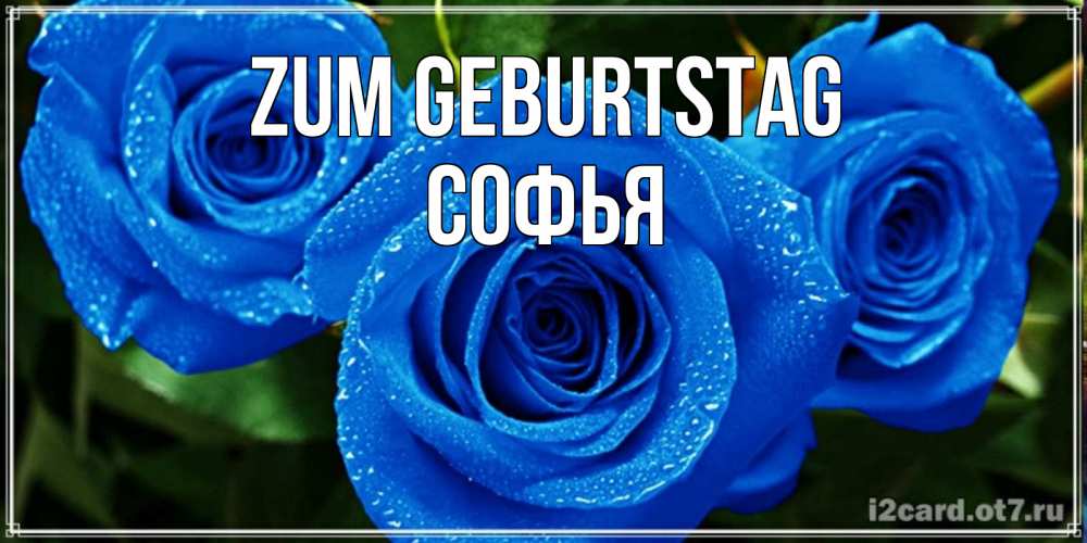 Открытка на каждый день с именем, Софья Zum Geburtstag розы с синим цветом Прикольная открытка с пожеланием онлайн скачать бесплатно 