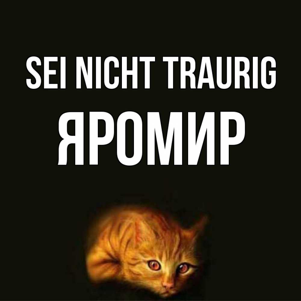 Открытка на каждый день с именем, Яромир Sei nicht traurig лежащий кот в темноте Прикольная открытка с пожеланием онлайн скачать бесплатно 