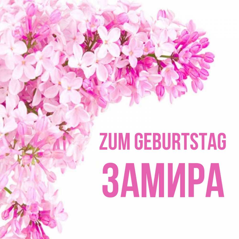 Открытка на каждый день с именем, Замира Zum Geburtstag Сирень на белом фоне Прикольная открытка с пожеланием онлайн скачать бесплатно 