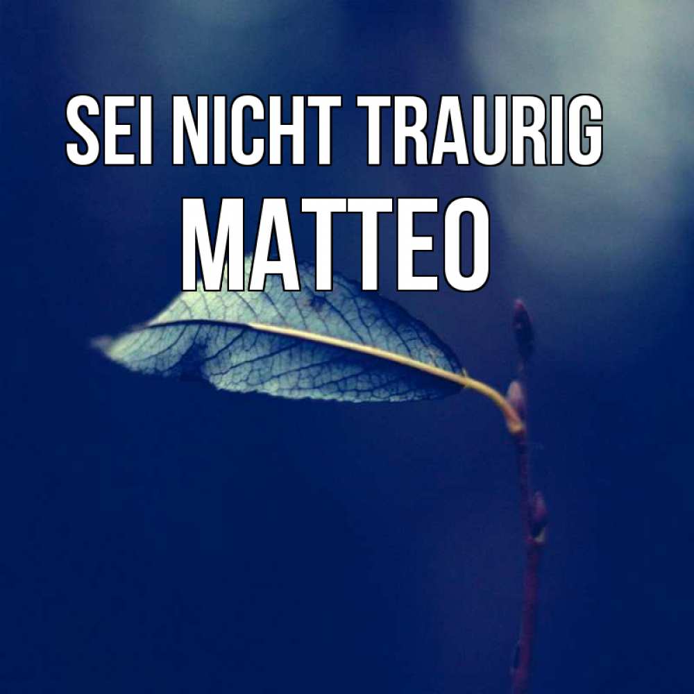 Открытка на каждый день с именем, Matteo Sei nicht traurig растение Прикольная открытка с пожеланием онлайн скачать бесплатно 