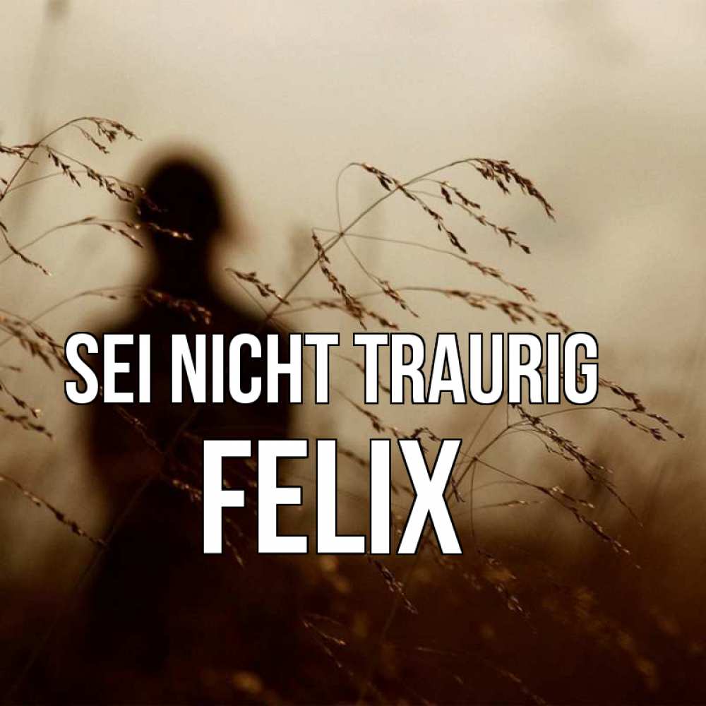 Открытка на каждый день с именем, Felix Sei nicht traurig грусть Прикольная открытка с пожеланием онлайн скачать бесплатно 