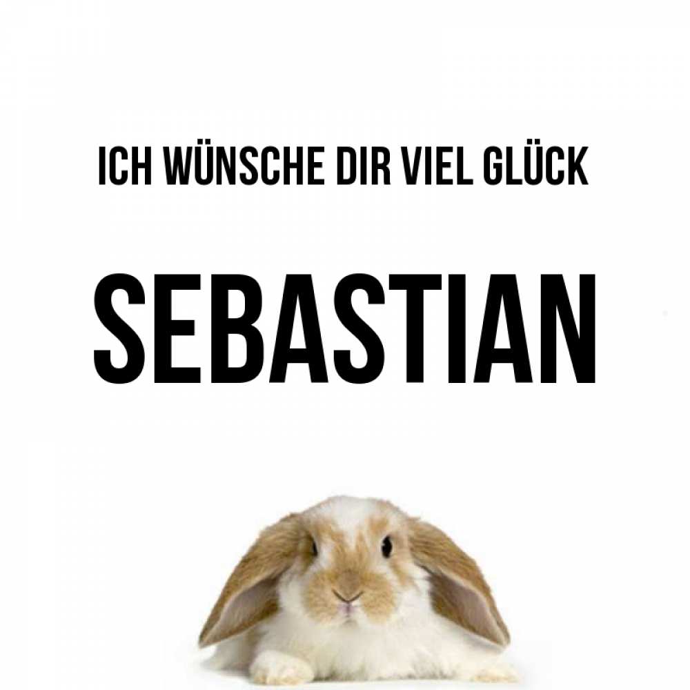 Открытка на каждый день с именем, Sebastian Ich wünsche dir viel Glück открытки с произвольным текстом который можно вставить в открытку и создать ее самостоятельно бесплатно онлайн Прикольная открытка с пожеланием онлайн скачать бесплатно 