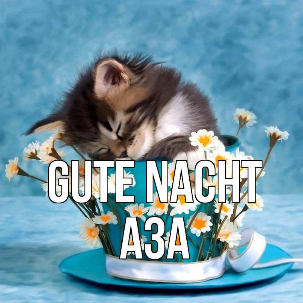 Открытка на каждый день с именем, Аза Gute Nacht котенок спит в кружке с блюдцем Прикольная открытка с пожеланием онлайн скачать бесплатно 