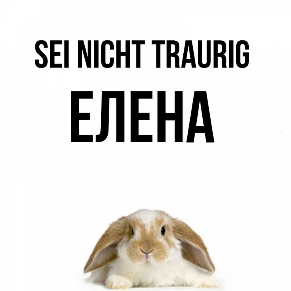 Открытка на каждый день с именем, Елена Sei nicht traurig коричнево белый заяц с большими ушками Прикольная открытка с пожеланием онлайн скачать бесплатно 