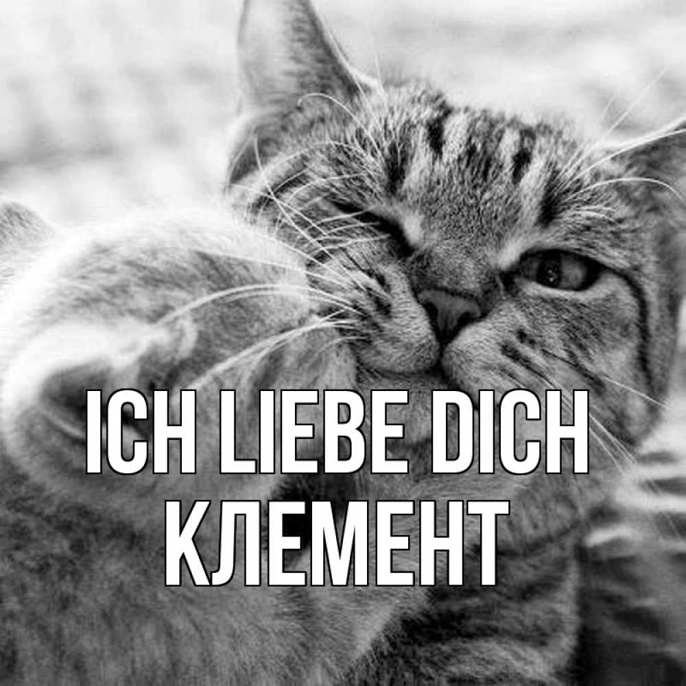 Открытка на каждый день с именем, Клемент Ich liebe dich коты Прикольная открытка с пожеланием онлайн скачать бесплатно 