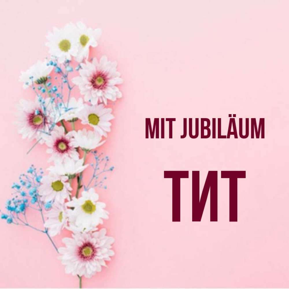 Открытка на каждый день с именем, Тит Mit Jubiläum Родная моя с днем рождения тебя картинка с цветами белыми и голубыми Прикольная открытка с пожеланием онлайн скачать бесплатно 