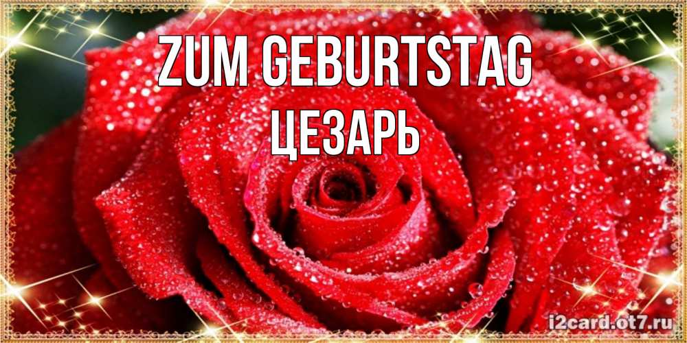 Открытка на каждый день с именем, Цезарь Zum Geburtstag роса и роза. открытка с красивой розой Прикольная открытка с пожеланием онлайн скачать бесплатно 