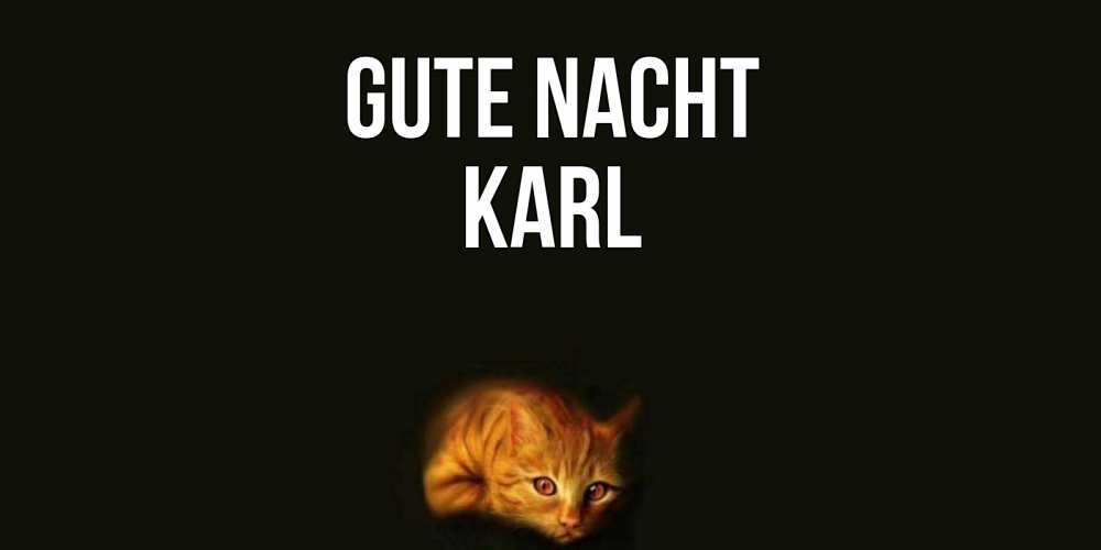 Открытка на каждый день с именем, Karl Gute Nacht кот Прикольная открытка с пожеланием онлайн скачать бесплатно 