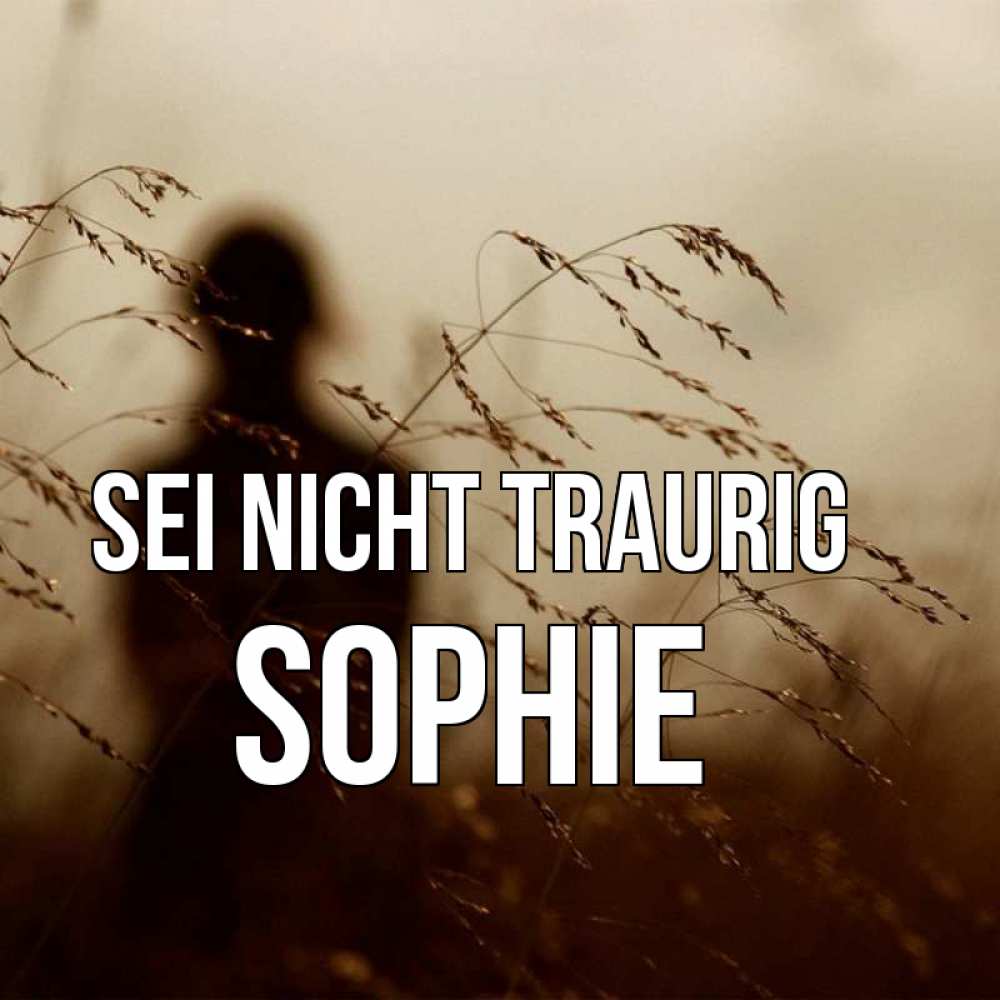 Открытка на каждый день с именем, Sophie Sei nicht traurig грусть Прикольная открытка с пожеланием онлайн скачать бесплатно 
