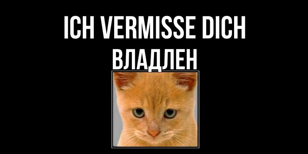 Открытка на каждый день с именем, Владлен Ich vermisse dich открытки рыжий котенок скучает по тебе Прикольная открытка с пожеланием онлайн скачать бесплатно 