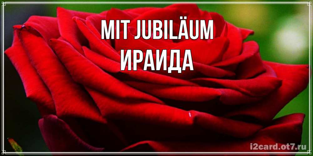 Открытка на каждый день с именем, Ираида Mit Jubiläum розочка очень красивая Прикольная открытка с пожеланием онлайн скачать бесплатно 
