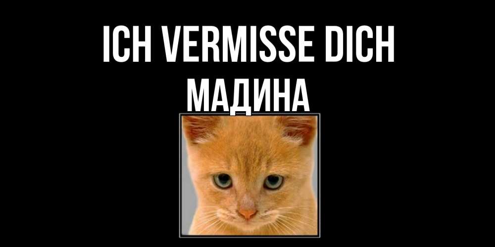 Открытка на каждый день с именем, Мадина Ich vermisse dich открытки рыжий котенок скучает по тебе Прикольная открытка с пожеланием онлайн скачать бесплатно 