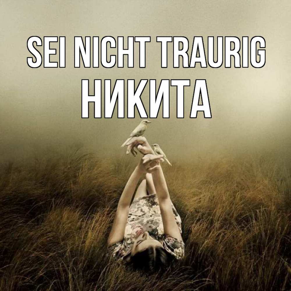 Открытка на каждый день с именем, Никита Sei nicht traurig поле и туман Прикольная открытка с пожеланием онлайн скачать бесплатно 