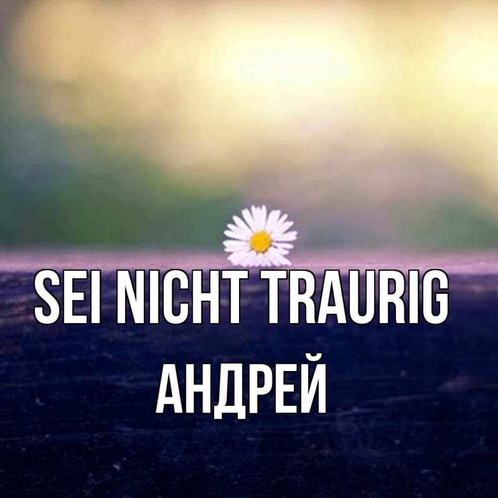 Открытка на каждый день с именем, Андрей Sei nicht traurig красота Прикольная открытка с пожеланием онлайн скачать бесплатно 