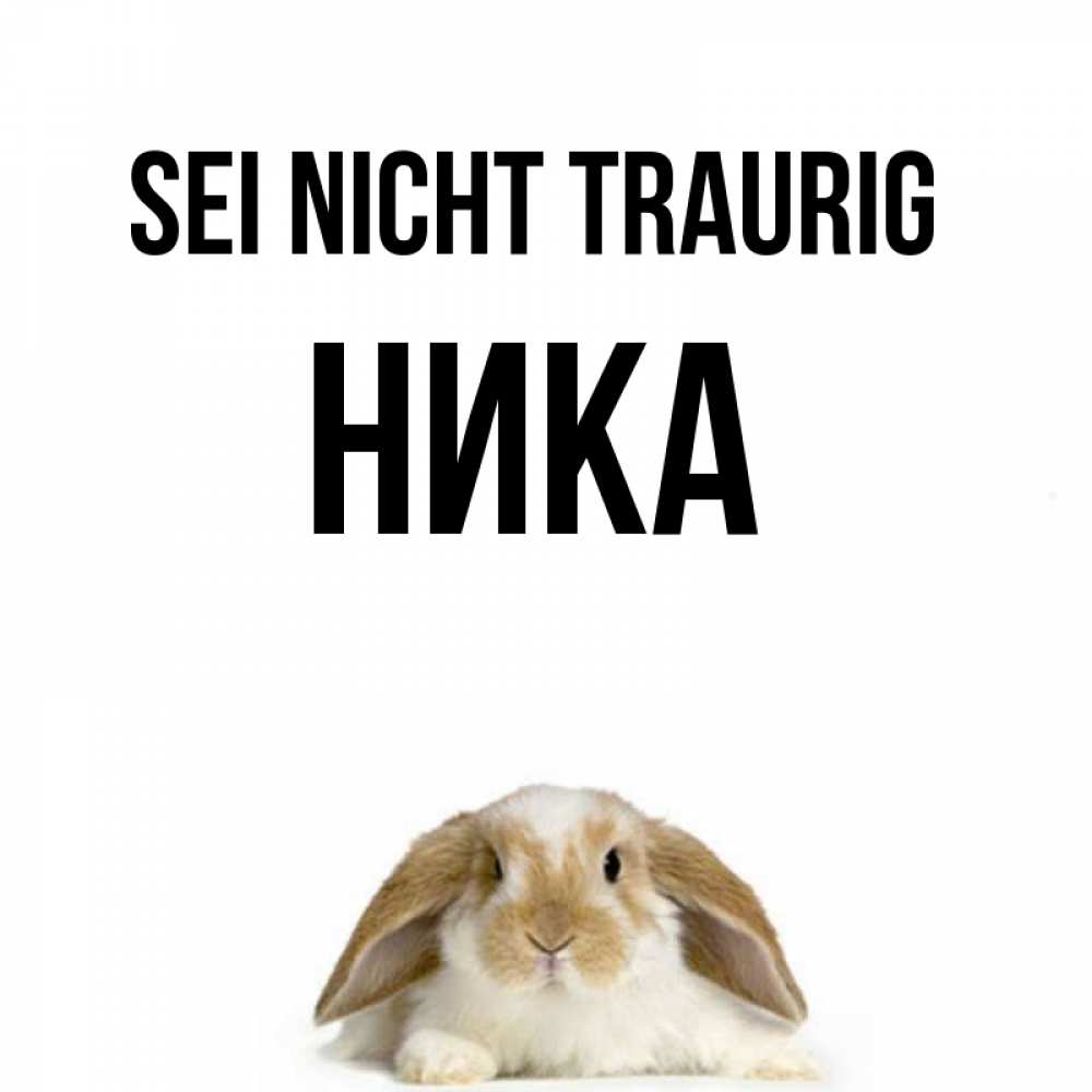 Открытка на каждый день с именем, Ника Sei nicht traurig коричнево белый заяц с большими ушками Прикольная открытка с пожеланием онлайн скачать бесплатно 