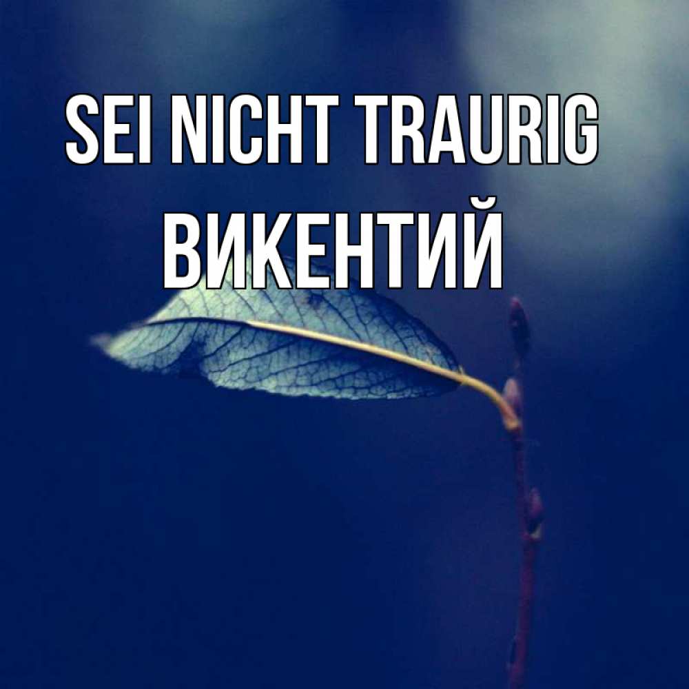 Открытка на каждый день с именем, Викентий Sei nicht traurig растение Прикольная открытка с пожеланием онлайн скачать бесплатно 