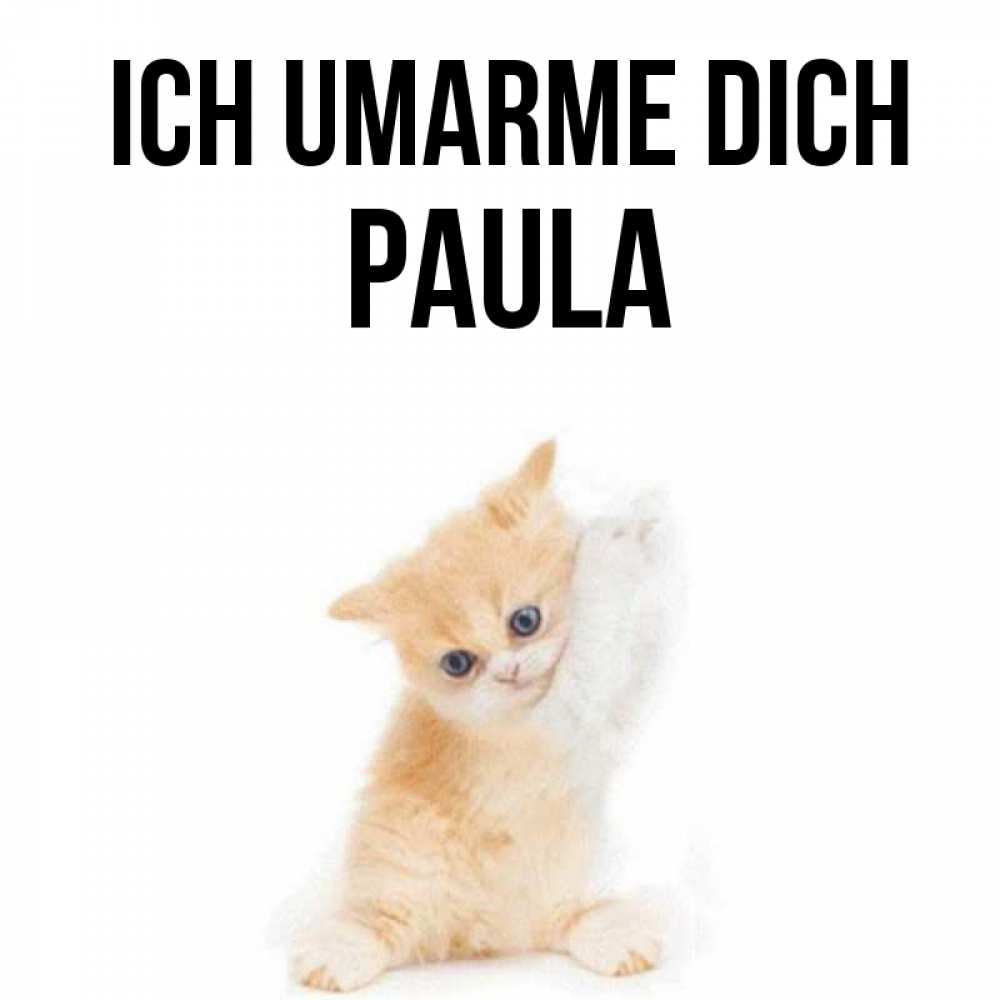Открытка на каждый день с именем, Paula Ich umarme dich я хочу очень скорее обнимаешек Прикольная открытка с пожеланием онлайн скачать бесплатно 
