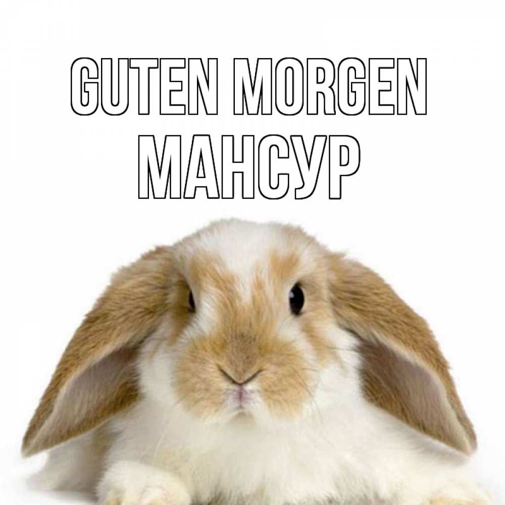 Открытка на каждый день с именем, Мансур Guten Morgen прикольные открытки на каждый день Прикольная открытка с пожеланием онлайн скачать бесплатно 