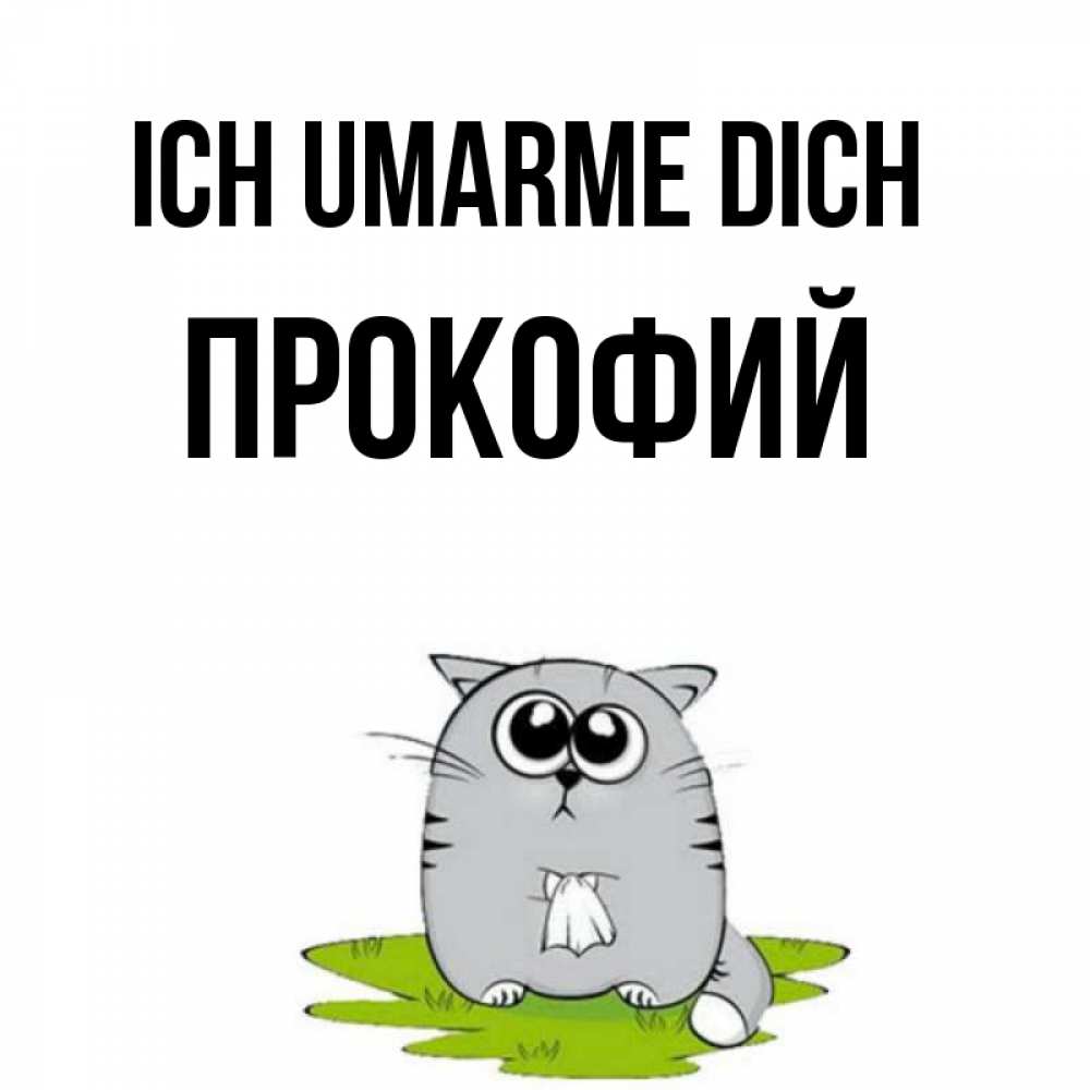 Открытка на каждый день с именем, Прокофий Ich umarme dich котик теребит платочек сидя на травке Прикольная открытка с пожеланием онлайн скачать бесплатно 