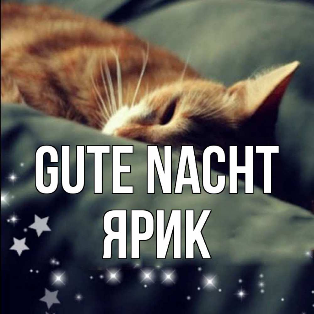 Открытка на каждый день с именем, Ярик Gute Nacht кроватка Прикольная открытка с пожеланием онлайн скачать бесплатно 