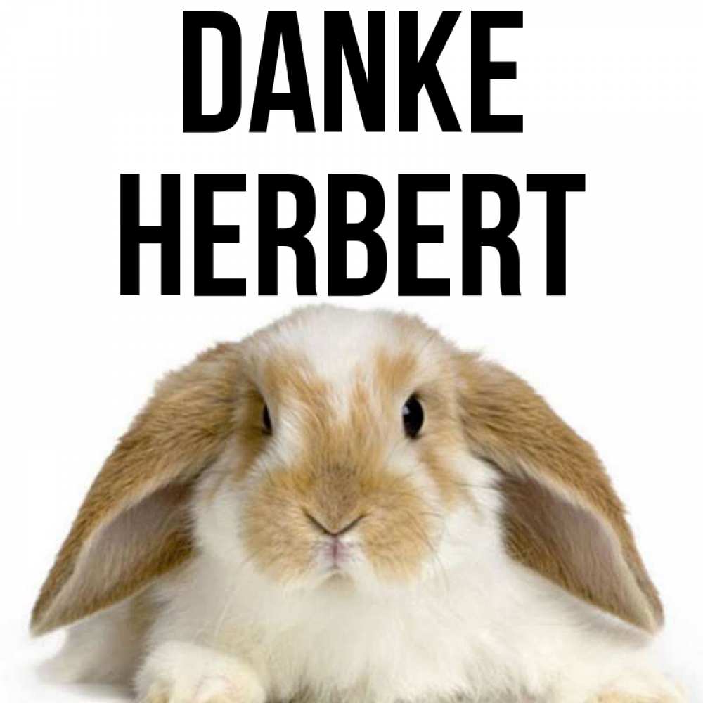 Открытка на каждый день с именем, Herbert Danke коричнево белый заяц Прикольная открытка с пожеланием онлайн скачать бесплатно 
