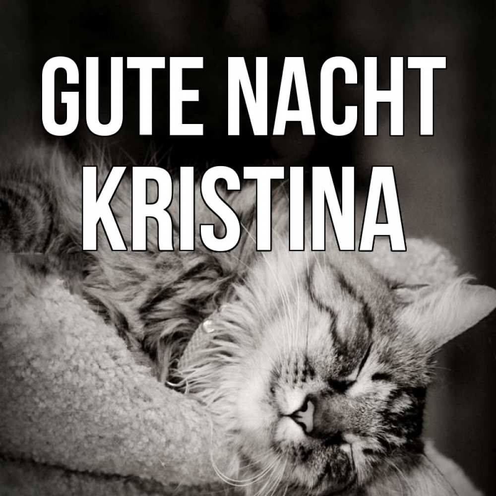 Открытка на каждый день с именем, Kristina Gute Nacht котярик пушистый Прикольная открытка с пожеланием онлайн скачать бесплатно 