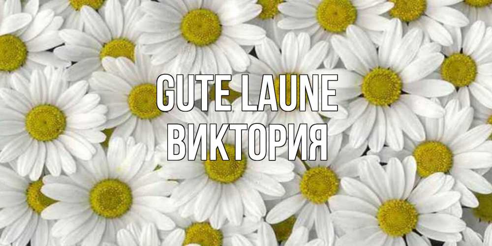Открытка на каждый день с именем, Виктория Gute Laune поляна ромашек Прикольная открытка с пожеланием онлайн скачать бесплатно 