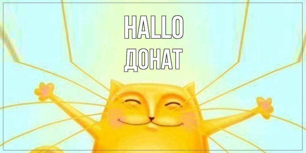 Открытка на каждый день с именем, Донат Hallo кот Прикольная открытка с пожеланием онлайн скачать бесплатно 